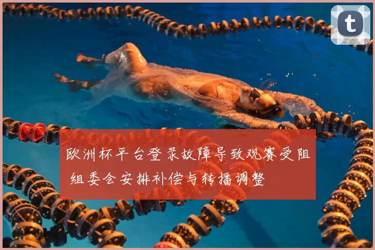 欧洲杯平台登录故障导致观赛受阻 组委会安排补偿与转播调整