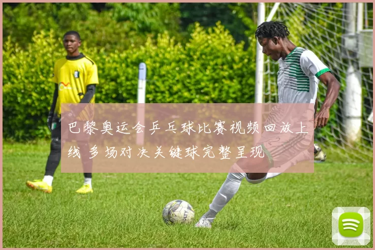 巴黎奥运会乒乓球比赛视频回放上线 多场对决关键球完整呈现