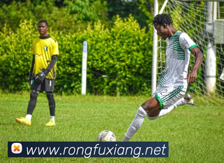 今年会在线登录官网入口 - 今年会(中国)平台生态图